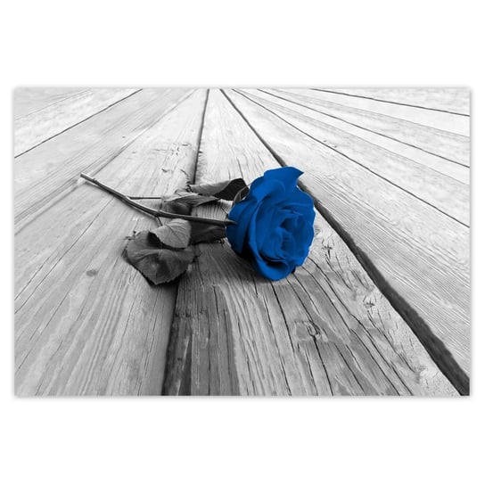 Plakat 185x125 Niebieska róża na deskach ZeSmakiem