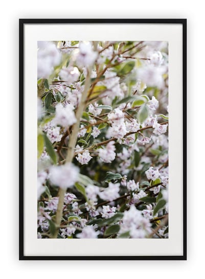 Plakat 18x24 cm Wiosna Kwiaty Biel WZORY Printonia