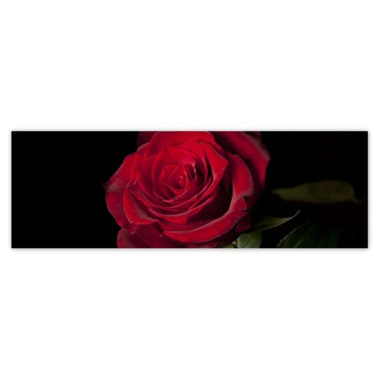 Plakat 200x66 Śliczna róża ZeSmakiem