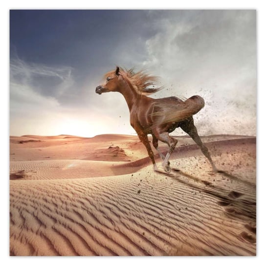 Plakat 30x30 Koń galopujący przez pustynię ZeSmakiem