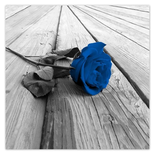 Plakat 30x30 Niebieska róża na deskach ZeSmakiem