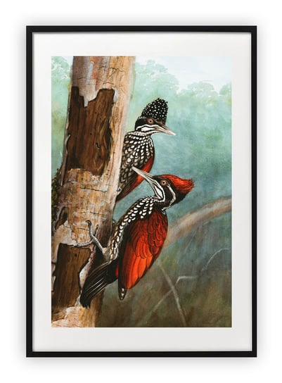 Plakat 30x40 cm Dzięcioł ptak na drzewie WZORY Printonia