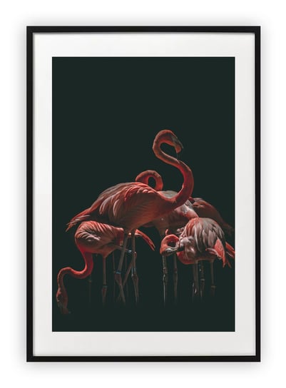 Plakat 30x40 cm Flamingi Róż Czerń WZORY Printonia