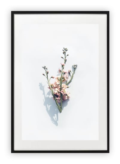 Plakat 30x40 cm Kwiaty Natura Rośliny Zieleń   WZORY Printonia