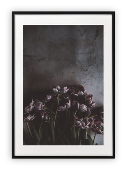 Plakat 30x40 cm Roślina Floral Kwiat WZORY Printonia