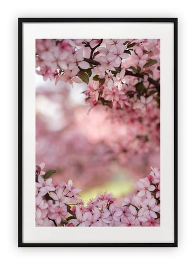 Plakat 30x40 cm Rośliny Natura Wiosna Kwiaty WZORY Printonia