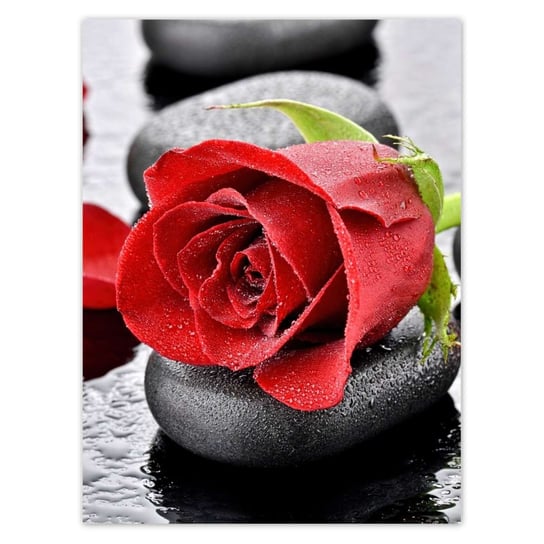 Plakat 30x40 Czerwone róże Kamienie ZeSmakiem