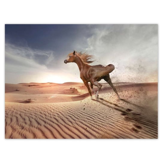 Plakat 40x30 Koń galopujący przez pustynię ZeSmakiem