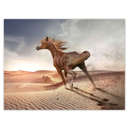 Plakat 40x30 Koń galopujący przez pustynię ZeSmakiem
