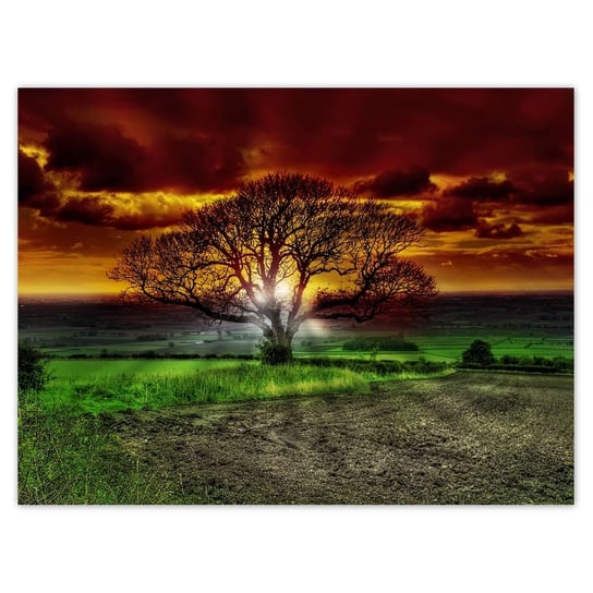 Plakat 40x30 Magiczne drzewo krajobraz ZeSmakiem
