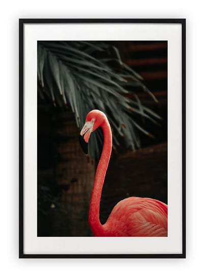 Plakat 40x50 cm Flaming Przyroda Róż WZORY Printonia