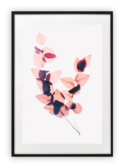 Plakat 40x50 cm Kwiaty Rośliny Zieleń Liść WZORY Printonia