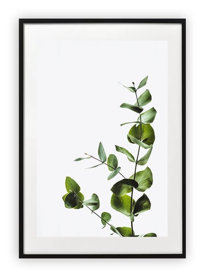 Plakat 40x50 cm Roślina Natural Floral   WZORY Printonia