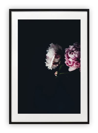 Plakat 40x50 cm Rośliny Kwiaty WZORY Printonia