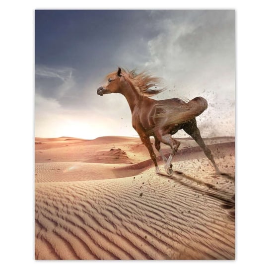 Plakat 40x50 Koń galopujący przez pustynię ZeSmakiem