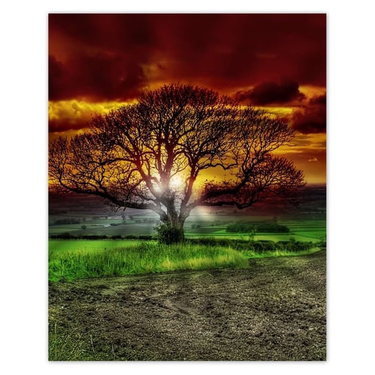 Plakat 40x50 Magiczne drzewo krajobraz ZeSmakiem