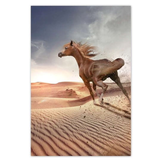 Plakat 40x60 Koń galopujący przez pustynię ZeSmakiem