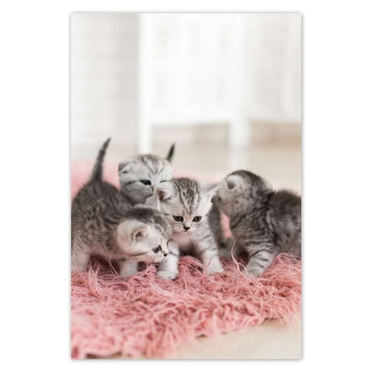 Plakat 40x60 Pięć małych kotków ZeSmakiem