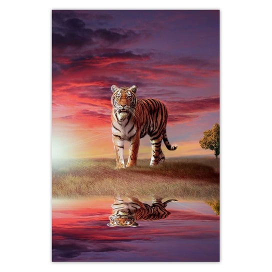 Plakat 40x60 Tygrys ZeSmakiem