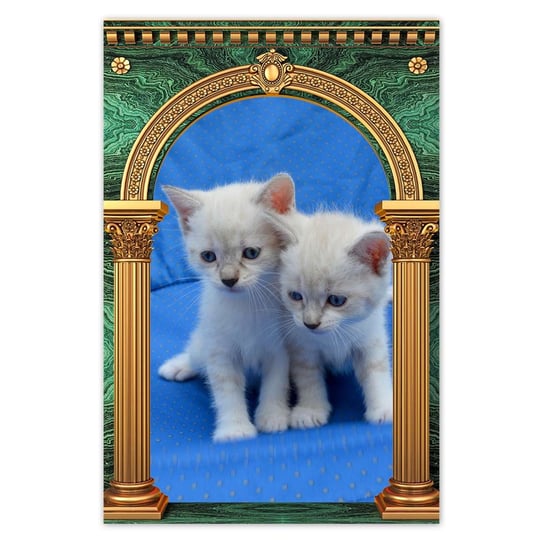 Plakat 40x60 Wesołe kociaki Kocięta ZeSmakiem