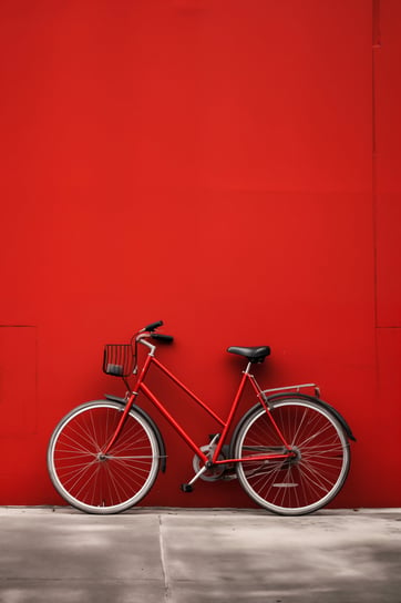 Plakat 40x60cm Czerwony Rower Zakito Posters