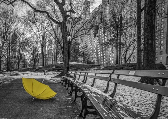 Plakat 42x29,7cm Żółty parasol na ścieżce w Centra Inna marka