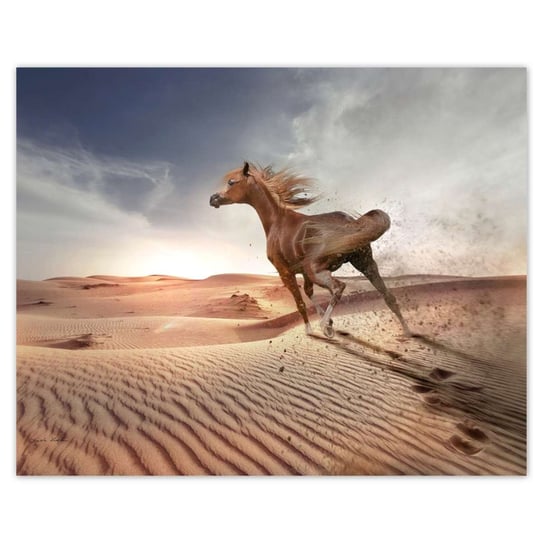 Plakat 50x40 Koń galopujący przez pustynię ZeSmakiem