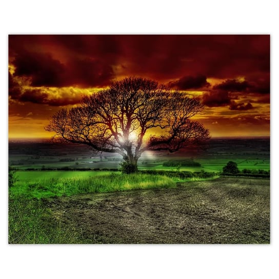 Plakat 50x40 Magiczne drzewo krajobraz ZeSmakiem