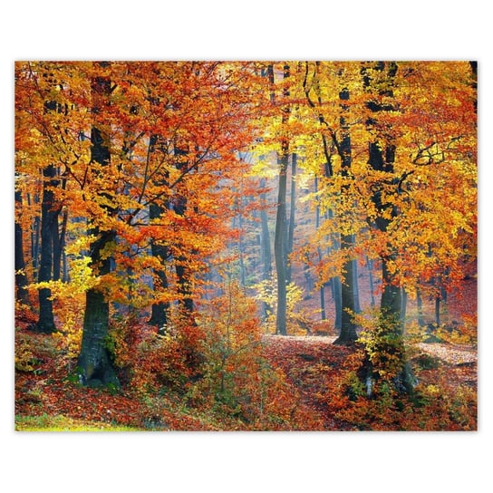 Plakat 50x40 Złota jesień - ZeSmakiem | Sklep EMPIK.COM