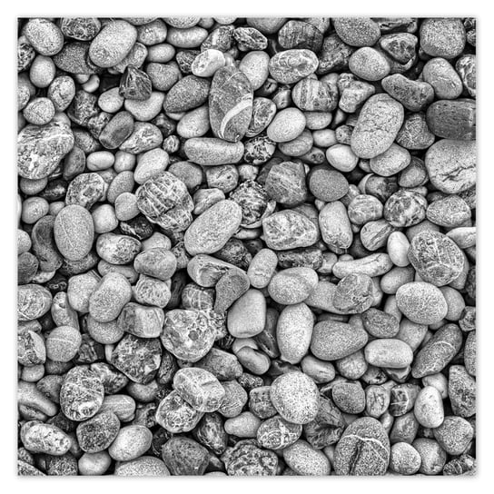 Plakat 50x50 Morskie kamienie Otoczaki ZeSmakiem