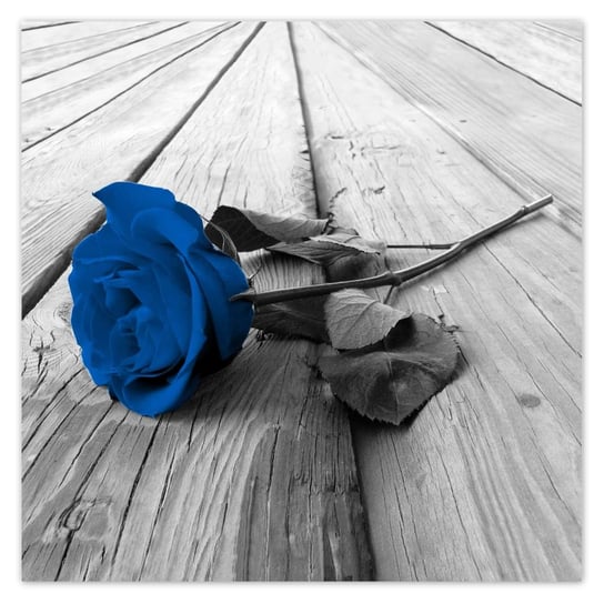 Plakat 50x50 Niebieska róża na moście ZeSmakiem