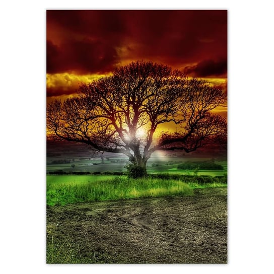 Plakat 50x70 Magiczne drzewo krajobraz ZeSmakiem