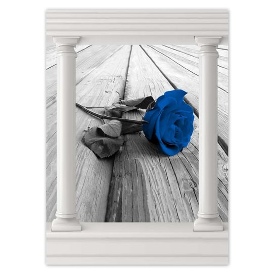 Plakat 50x70 Niebieska róża na deskach ZeSmakiem