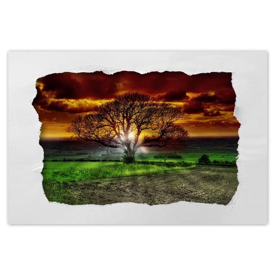Plakat 60x40 Magiczne drzewo krajobraz ZeSmakiem