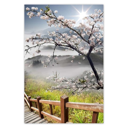 Plakat 60x90 Japonia kwitnąca wiśnia ZeSmakiem