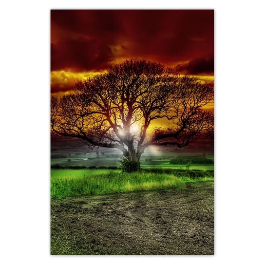 Plakat 60x90 Magiczne drzewo krajobraz ZeSmakiem