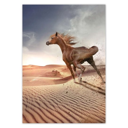 Plakat 70x100 Koń galopujący przez pustynię ZeSmakiem