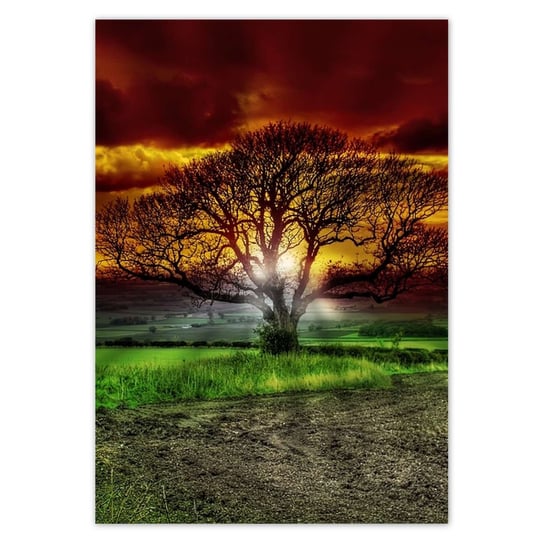Plakat 70x100 Magiczne drzewo krajobraz ZeSmakiem