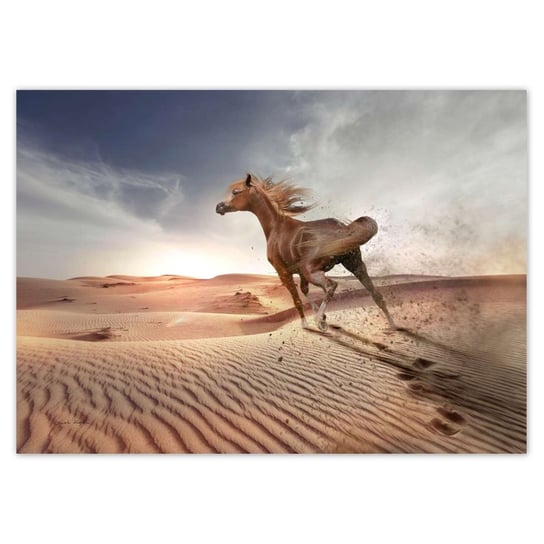 Plakat 70x50 Koń galopujący przez pustynię ZeSmakiem