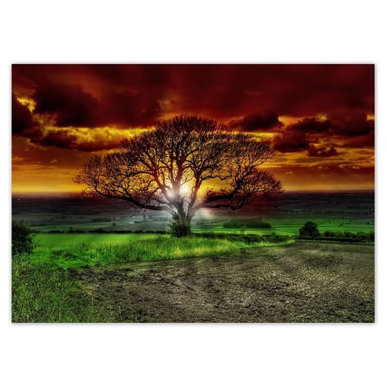 Plakat 70x50 Magiczne drzewo krajobraz ZeSmakiem