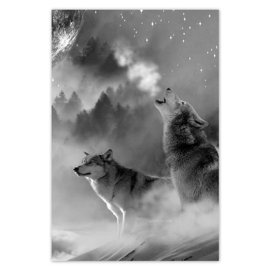 Plakat 80x120 Wilk wyjący do księżyca ZeSmakiem