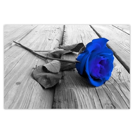 Plakat 90x60 Atramentowa róża ZeSmakiem