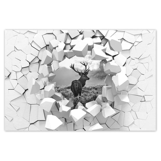 Plakat 90x60 Czarno-biały jeleń ZeSmakiem