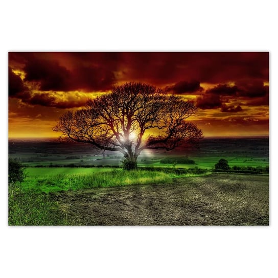 Plakat 90x60 Magiczne drzewo krajobraz ZeSmakiem