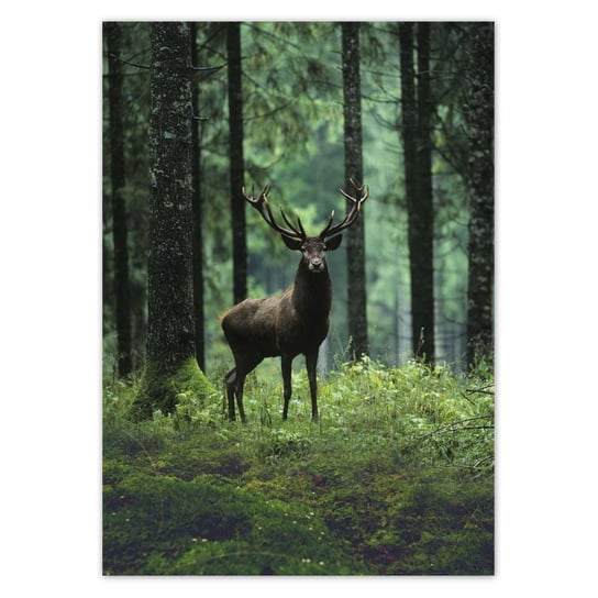Plakat A0 PION Jeleń w lesie ZeSmakiem