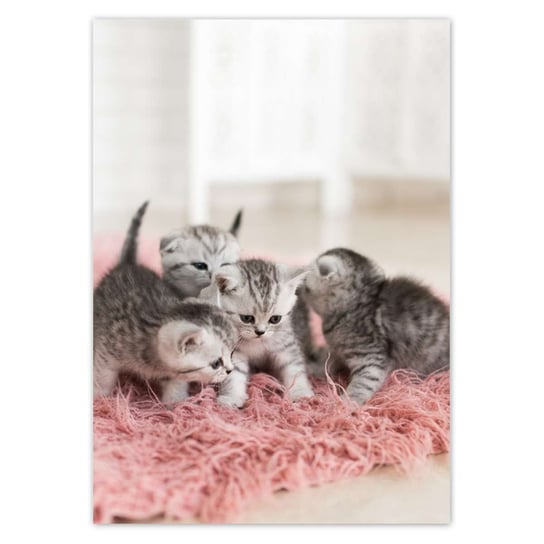 Plakat A0 PION Pięć małych kotków ZeSmakiem