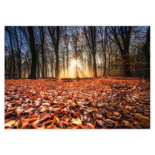 Plakat A0 POZIOM Jesienny widok Pejzaż ZeSmakiem