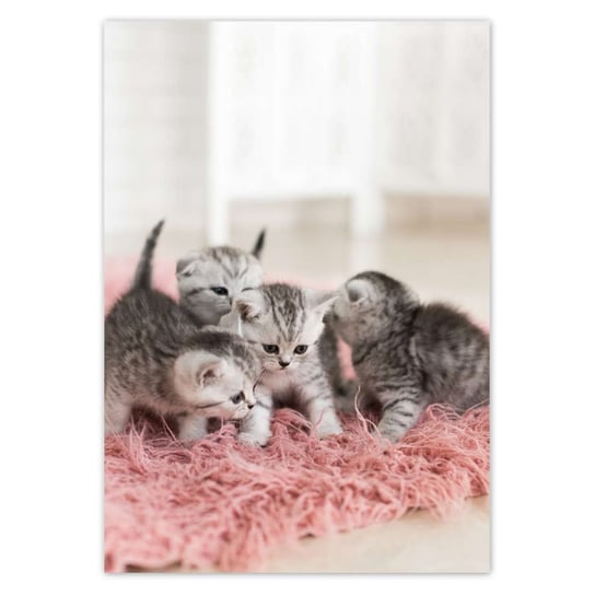 Plakat A1 PION Pięć małych kotków ZeSmakiem