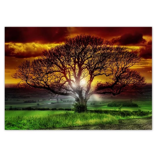 Plakat A1 POZIOM Magiczne drzewo krajobraz ZeSmakiem