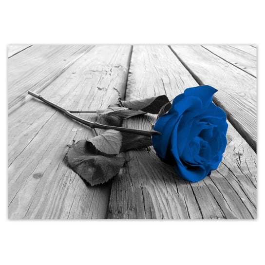 Plakat A1 POZIOM Niebieska róża na deskach ZeSmakiem